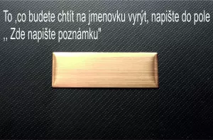 jmenovka na dveře 25x76mm